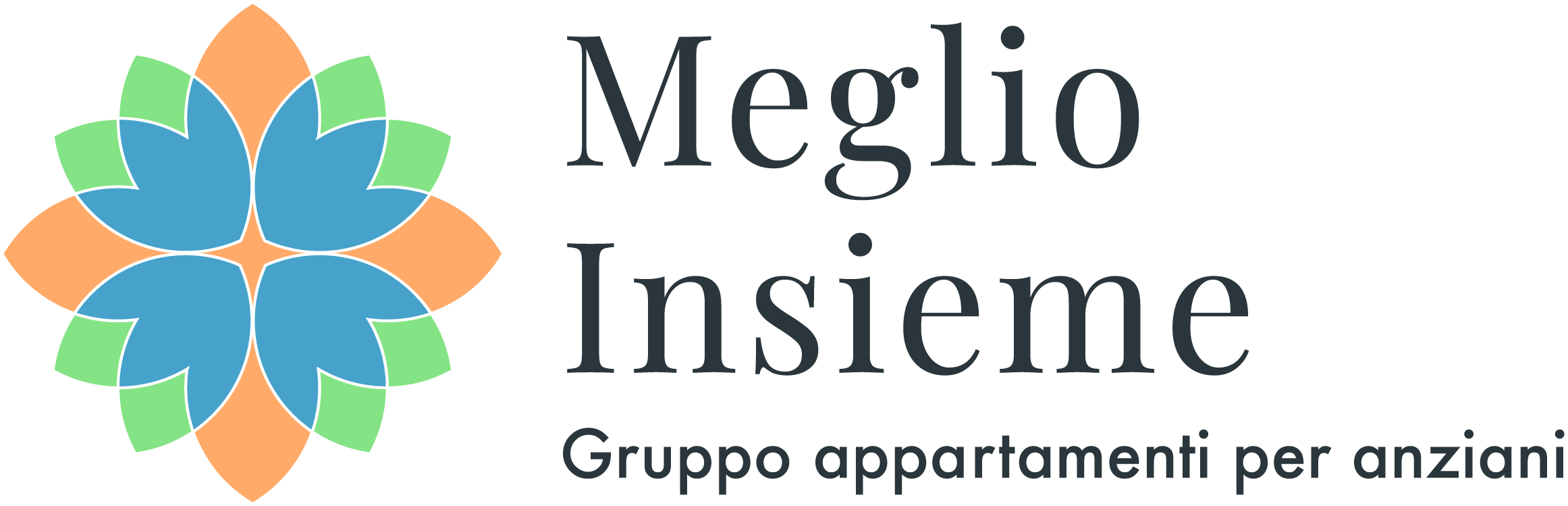 Logo Meglio Insieme